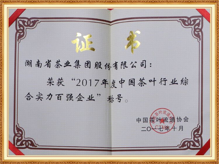 2017年度中国尊龙凯时 人生就是搏!平台
行业综合实力百强企业