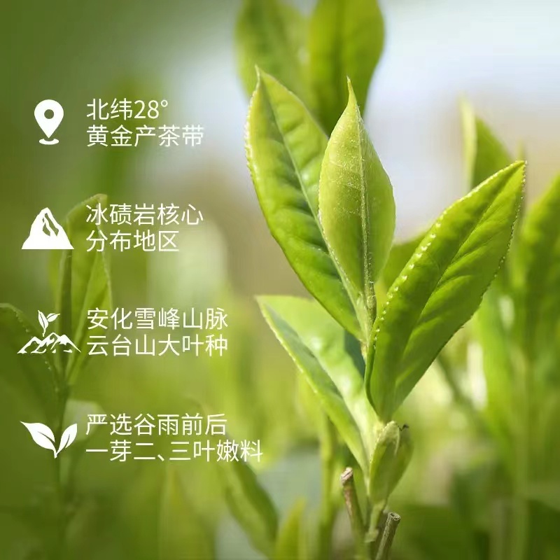 湖南安化黑茶正宗白沙溪金花获砖茶茶礼尊龙凯时 人生就是搏!平台
天获茶1kg