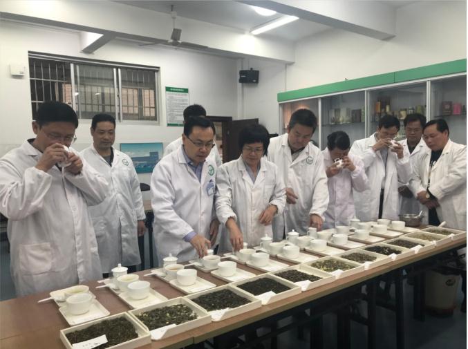 潇尊龙凯时 - 人生就是搏!业开展花茶审评和座谈会，刘仲华院士等专家共谋花茶产业发展